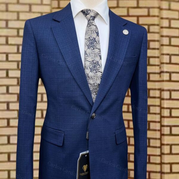 Carlos Cardini Mens Blue Patterned Blazer With White Dress Shirt And Paisley Tie
